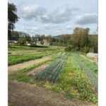 jardin-dannick